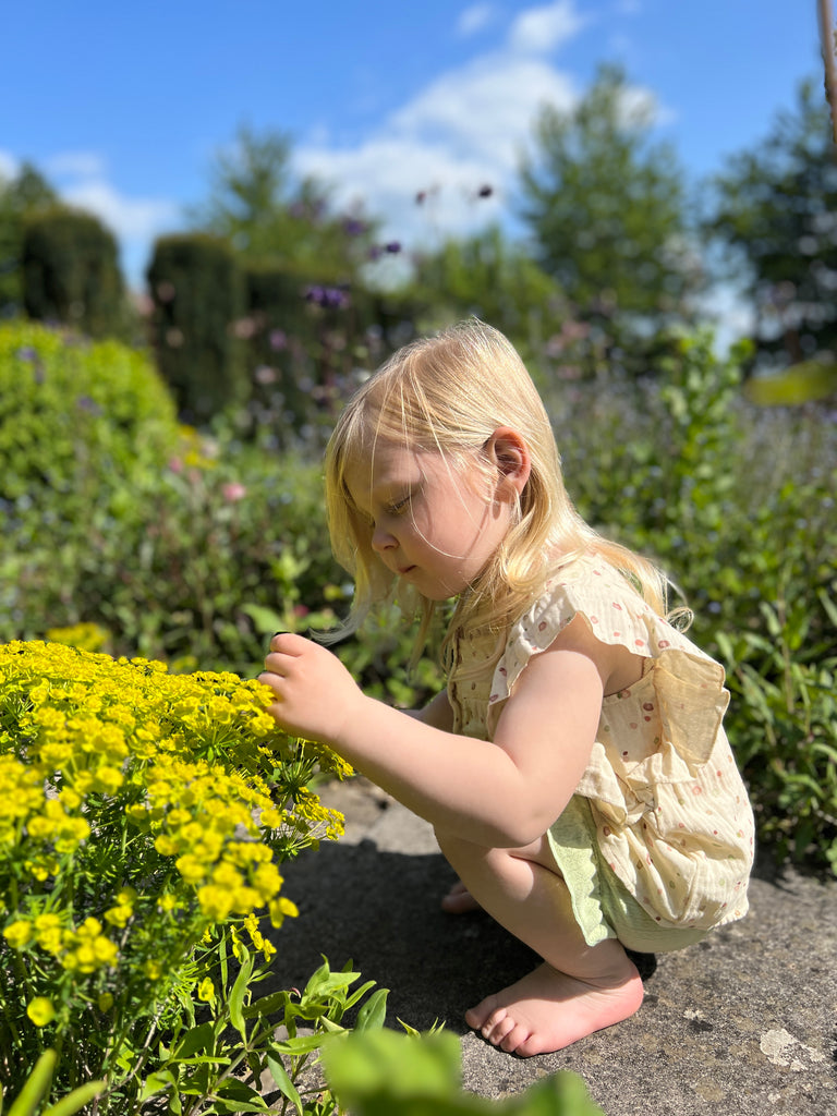 happy toddler on old stone path picking summer flowers on sunny day wearing frill sleeved blouse with square cut neck line and buttons down the front and green gauze shorts