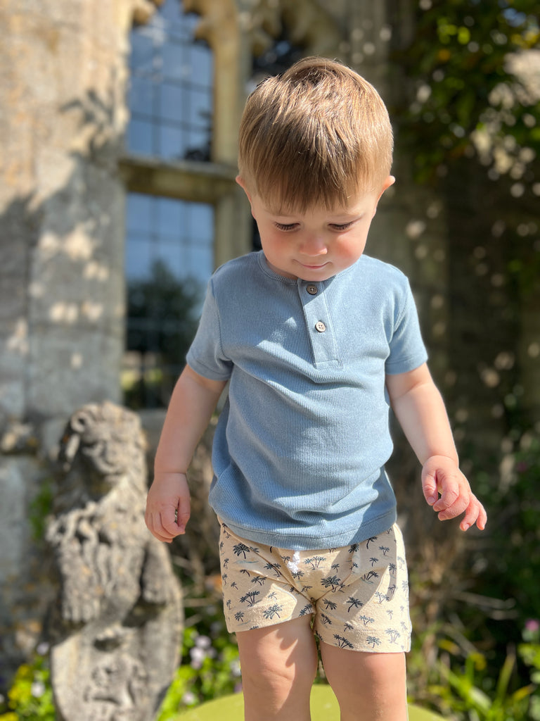 toddler standing in fromt of old stone manor on sunny day wearing cream jersey shorts with drawstring waist all over palm tree print and blue tee shirt